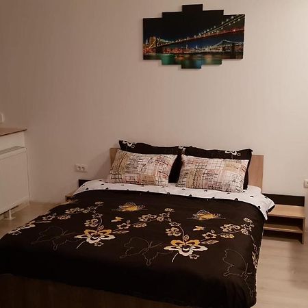 Casa Clau Apartment Arad Ngoại thất bức ảnh