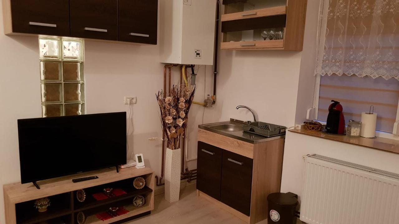 Casa Clau Apartment Arad Ngoại thất bức ảnh